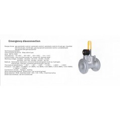 進(jìn)口低壓緊急切斷電磁閥（通電關(guān)閉、手動(dòng)打開）
