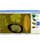 LA-S型植物葉面積、病斑、蟲損、葉色分檔分析儀系統